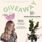 Win a Full Hair Makeover Package + 4 Indoor Plants (Worth $700) from Western Landscape Solutions