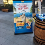Sydney - Free Friskies Seafood Sensations (Cat Food) - World Square Courtyard