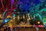 Win a Trip for 2 to Darwin Festival 2023 Worth $7,650 from Airport Development Group