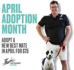 [WA] Greyhound Adoption $75 (Usually $350) @ Greyhounds as Pets