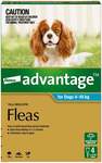 Advantage Flea Treatment for Medium Dogs 4-10kg 4 Doses $3.70 (RRP $73.99) + Delivery ($0 with $49+) @ Pet Culture via My Deal