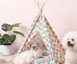 Pet Teepee: Small $10, Med $15, $15 Delivery ($0 Brisbane C&C) @ Circonomy