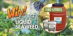 Win 180 Litres of Fresh Liquid Seaweed Worth $880 from Sonic Natural Farming