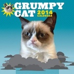 Grumpy Cat Calendar 2014 $14.16 Delivered