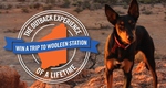 Win a Trip to Wooleen Station in Outback Western Australia from Outback WA