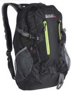 Denali daypack discount