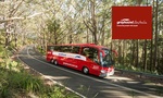 40% off Greyhound Buses Point to Point Fares for $3 @ Groupon