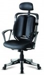 DSP Ergonomic Office Chair $399 Free Shipping