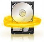 4TB Seagate NAS 24x7 Hard Drive - ST4000VN000 - Only $210 + $5 Fixed Delivery - Only @ NetPlus!