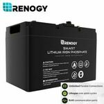 Renogy 12V 100Ah SMART LiFePO4 Lithium Iron Battery $636.99 Delivered @ renogysolar_au eBay