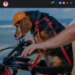 20% off Bicycle Dog Seats & Other Pet Accessories @ Dinky Dog