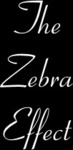 Win a $250 Ladies Clothing Shopping Voucher for You and A Friend Each to Spend At The Zebra Effect