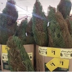 [NSW] Fresh Christmas Trees $1 (Was $70) @ Coles (Rhodes)