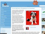 50% off Dog Adoption - Lost Dogs Home - VIC, QLD, NSW
