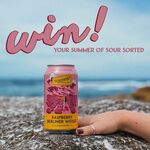 Win 3 Cases of Raspberry Berliner Weisse Dry & Sour Ale from Wayward Brewing