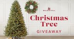 Win 1 of 3 Balsim Hill Christmas Trees from The Australian Women's Weekly