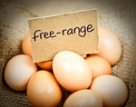 Free Range Eggs