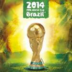 2014 FIFA World Cup Brazil