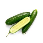 Lebanese Cucumber