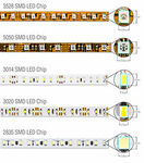 LED Strip Light