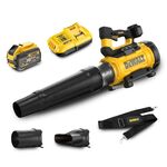 Dewalt DCMBL777X1-XE