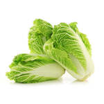 Chinese Cabbage