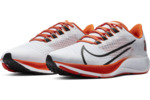 Nike Pegasus 37