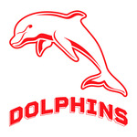 The Dolphins