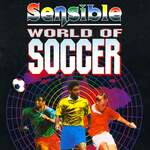 Sensible World of Soccer