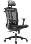 Herman Miller Embody