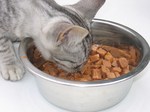 Cat Food